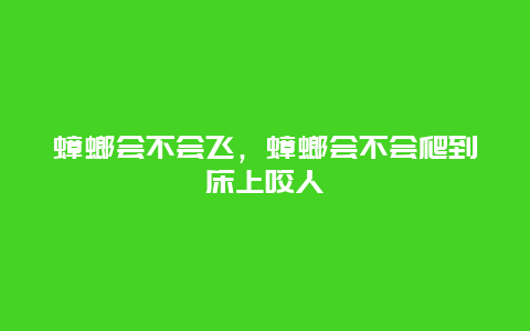 蟑螂會不會飛，蟑螂會不會爬到床上咬人