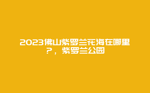 2024佛山紫羅蘭花海在哪里？，紫羅蘭公園