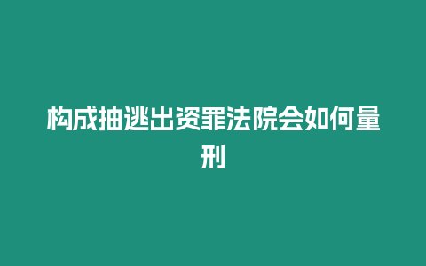 構(gòu)成抽逃出資罪法院會如何量刑