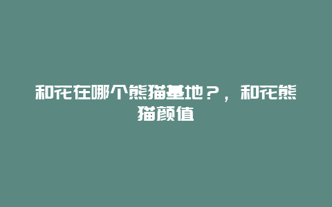 和花在哪個熊貓基地？，和花熊貓顏值