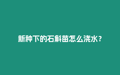 新種下的石斛苗怎么澆水？