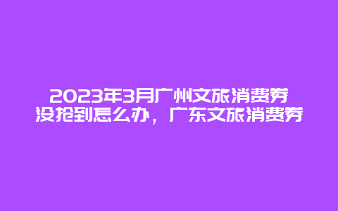 2024年3月廣州文旅消費券沒搶到怎么辦，廣東文旅消費券