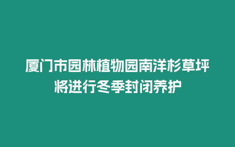 廈門市園林植物園南洋杉草坪將進行冬季封閉養護