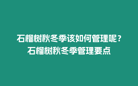 石榴樹秋冬季該如何管理呢？石榴樹秋冬季管理要點