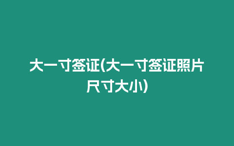 大一寸簽證(大一寸簽證照片尺寸大小)