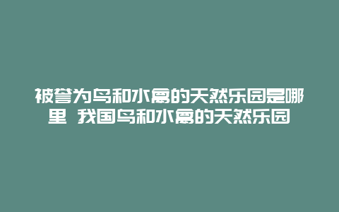 被譽(yù)為鳥和水禽的天然樂園是哪里 我國鳥和水禽的天然樂園