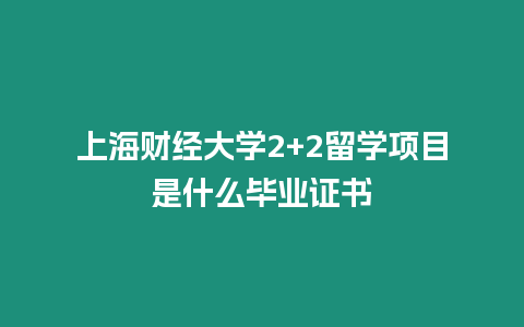 上海財經大學2+2留學項目是什么畢業證書