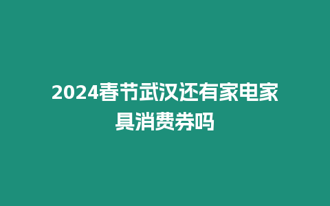 2024春節武漢還有家電家具消費券嗎