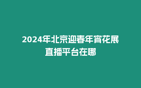 2024年北京迎春年宵花展直播平臺在哪