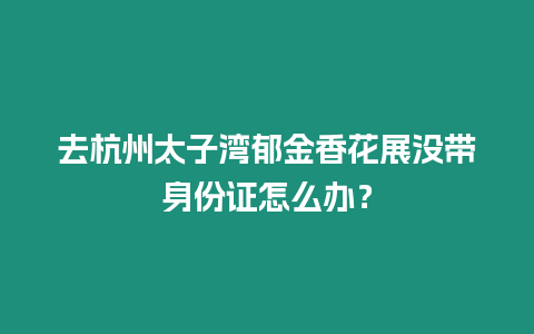 去杭州太子灣郁金香花展沒(méi)帶身份證怎么辦？