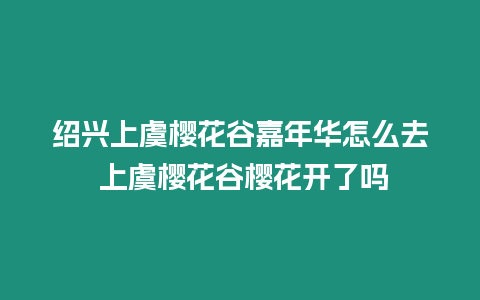 紹興上虞櫻花谷嘉年華怎么去 上虞櫻花谷櫻花開了嗎