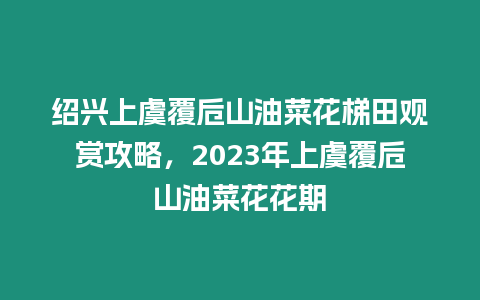 紹興上虞覆卮山油菜花梯田觀賞攻略，2023年上虞覆卮山油菜花花期