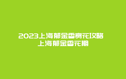 2024上海郁金香賞花攻略 上海郁金香花期