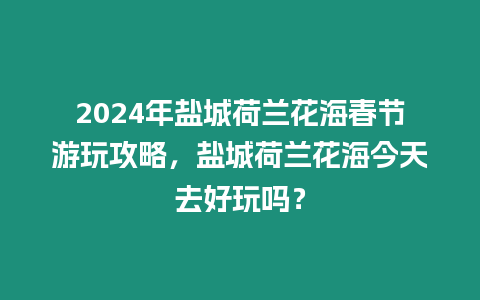 2024年鹽城荷蘭花海春節游玩攻略，鹽城荷蘭花海今天去好玩嗎？