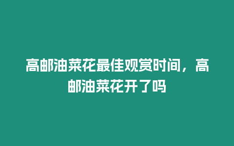 高郵油菜花最佳觀賞時間，高郵油菜花開了嗎