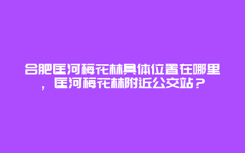 合肥匡河梅花林具體位置在哪里，匡河梅花林附近公交站？