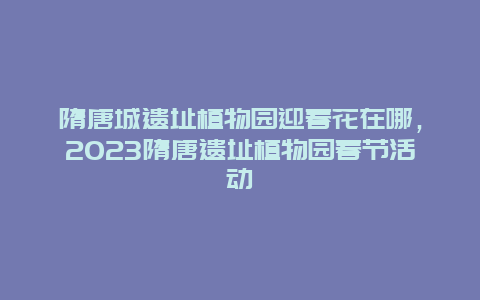 隋唐城遺址植物園迎春花在哪，2024隋唐遺址植物園春節活動