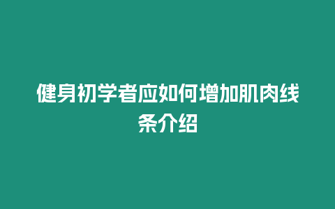 健身初學者應如何增加肌肉線條介紹