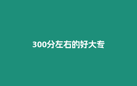 300分左右的好大專