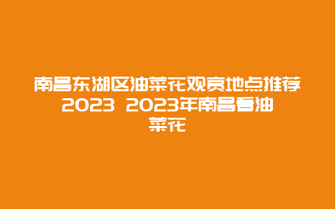 南昌東湖區油菜花觀賞地點推薦2024 2024年南昌看油菜花