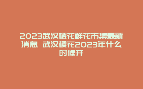 2024武漢櫻花鮮花市集最新消息 武漢櫻花2024年什么時候開