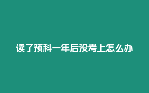 讀了預科一年后沒考上怎么辦