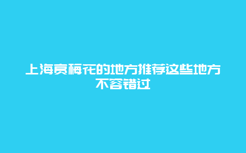 上海賞梅花的地方推薦這些地方不容錯過