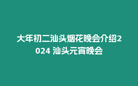 大年初二汕頭煙花晚會介紹2024 汕頭元宵晚會