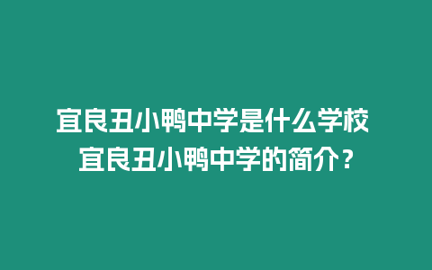 宜良丑小鴨中學是什么學校 宜良丑小鴨中學的簡介？