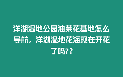 洋湖濕地公園油菜花基地怎么導航，洋湖濕地花海現在開花了嗎?？