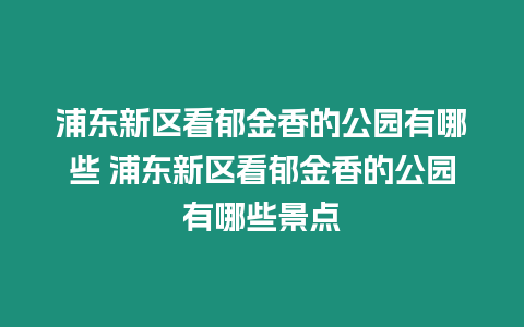 浦東新區看郁金香的公園有哪些 浦東新區看郁金香的公園有哪些景點