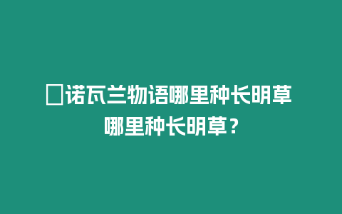 ?諾瓦蘭物語哪里種長明草 哪里種長明草？