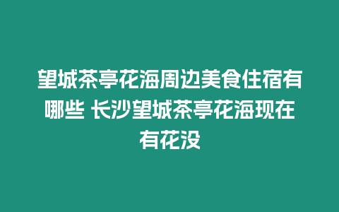 望城茶亭花海周邊美食住宿有哪些 長沙望城茶亭花海現在有花沒