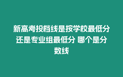 新高考投檔線是按學校最低分還是專業組最低分 哪個是分數線