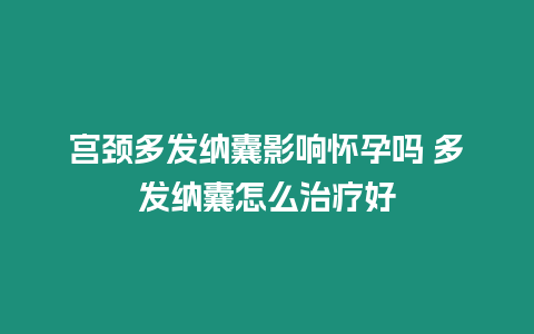 宮頸多發(fā)納囊影響懷孕嗎 多發(fā)納囊怎么治療好