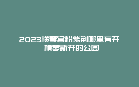 2024橫琴宮粉紫荊哪里有開 橫琴新開的公園