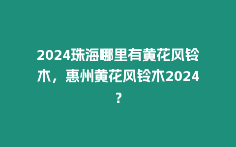 2024珠海哪里有黃花風鈴木，惠州黃花風鈴木2024？