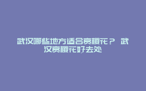 武漢哪些地方適合賞櫻花？ 武漢賞櫻花好去處