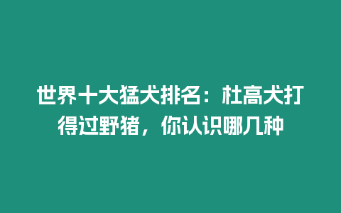 世界十大猛犬排名：杜高犬打得過野豬，你認識哪幾種