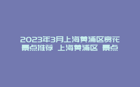 2024年3月上海黃浦區賞花景點推薦 上海黃浦區 景點