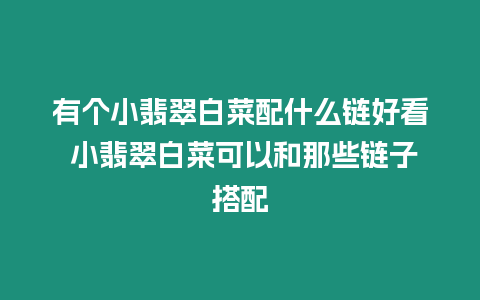 有個(gè)小翡翠白菜配什么鏈好看 小翡翠白菜可以和那些鏈子搭配