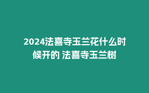 2024法喜寺玉蘭花什么時候開的 法喜寺玉蘭樹