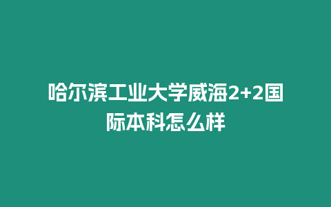 哈爾濱工業大學威海2+2國際本科怎么樣