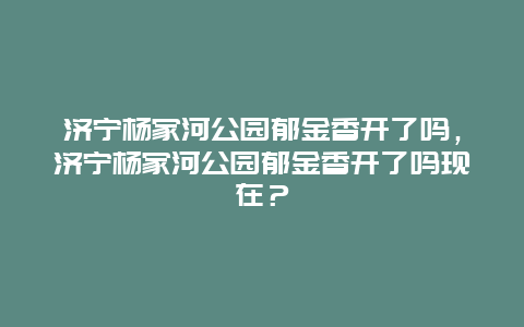 濟寧楊家河公園郁金香開了嗎，濟寧楊家河公園郁金香開了嗎現(xiàn)在？