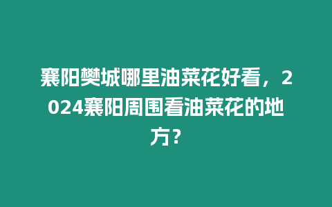 襄陽樊城哪里油菜花好看，2024襄陽周圍看油菜花的地方？