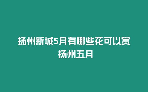 揚州新城5月有哪些花可以賞 揚州五月