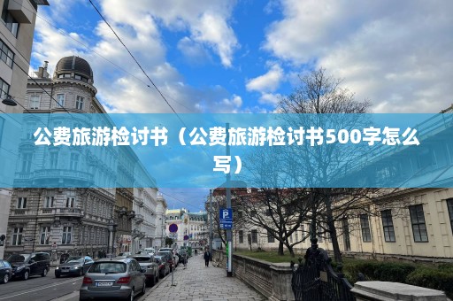 公費旅游檢討書（公費旅游檢討書500字怎么寫）