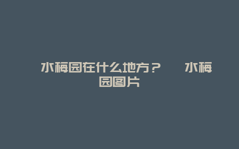 泗水梅園在什么地方？ 泗水梅園圖片