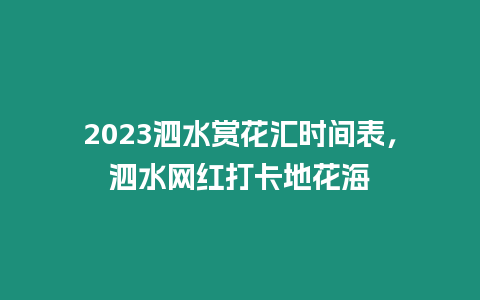 2023泗水賞花匯時間表，泗水網紅打卡地花海