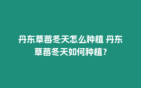 丹東草莓冬天怎么種植 丹東草莓冬天如何種植？